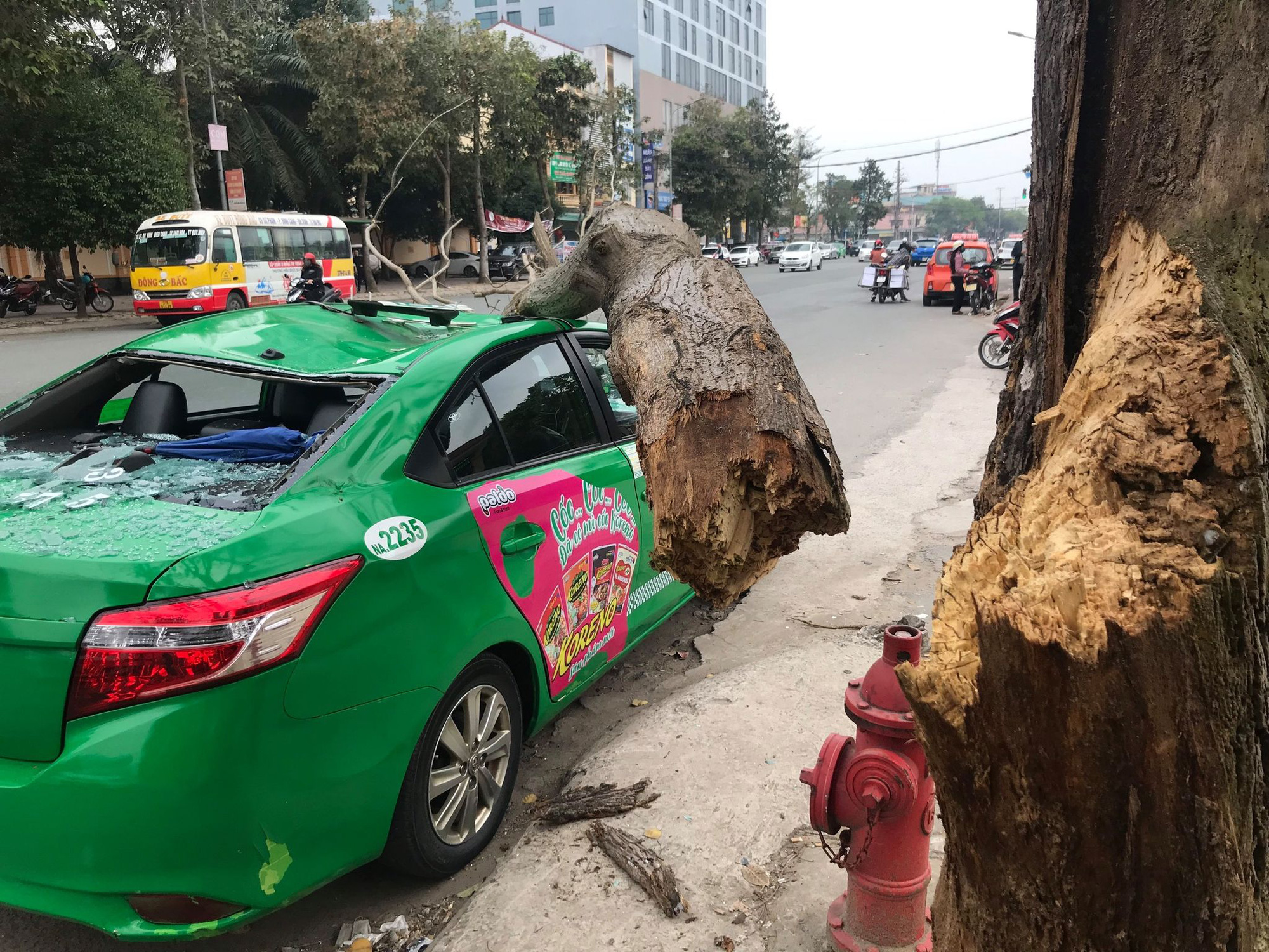 Nam tài xế và khách thoát chết hi hữu khi bị cây xanh gãy đè bẹp xe taxi