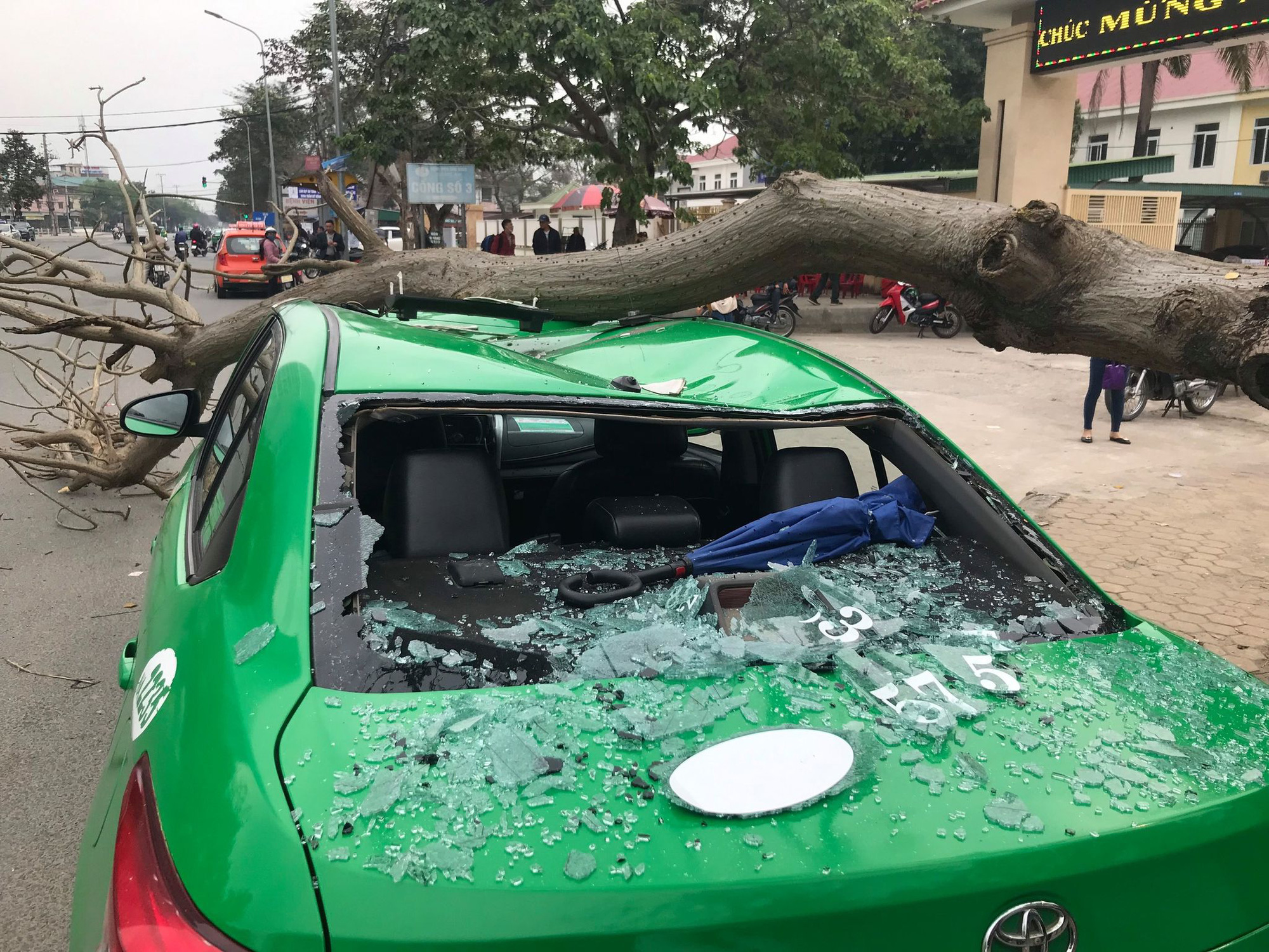Nam tài xế và khách thoát chết hi hữu khi bị cây xanh gãy đè bẹp xe taxi - Ảnh 2.