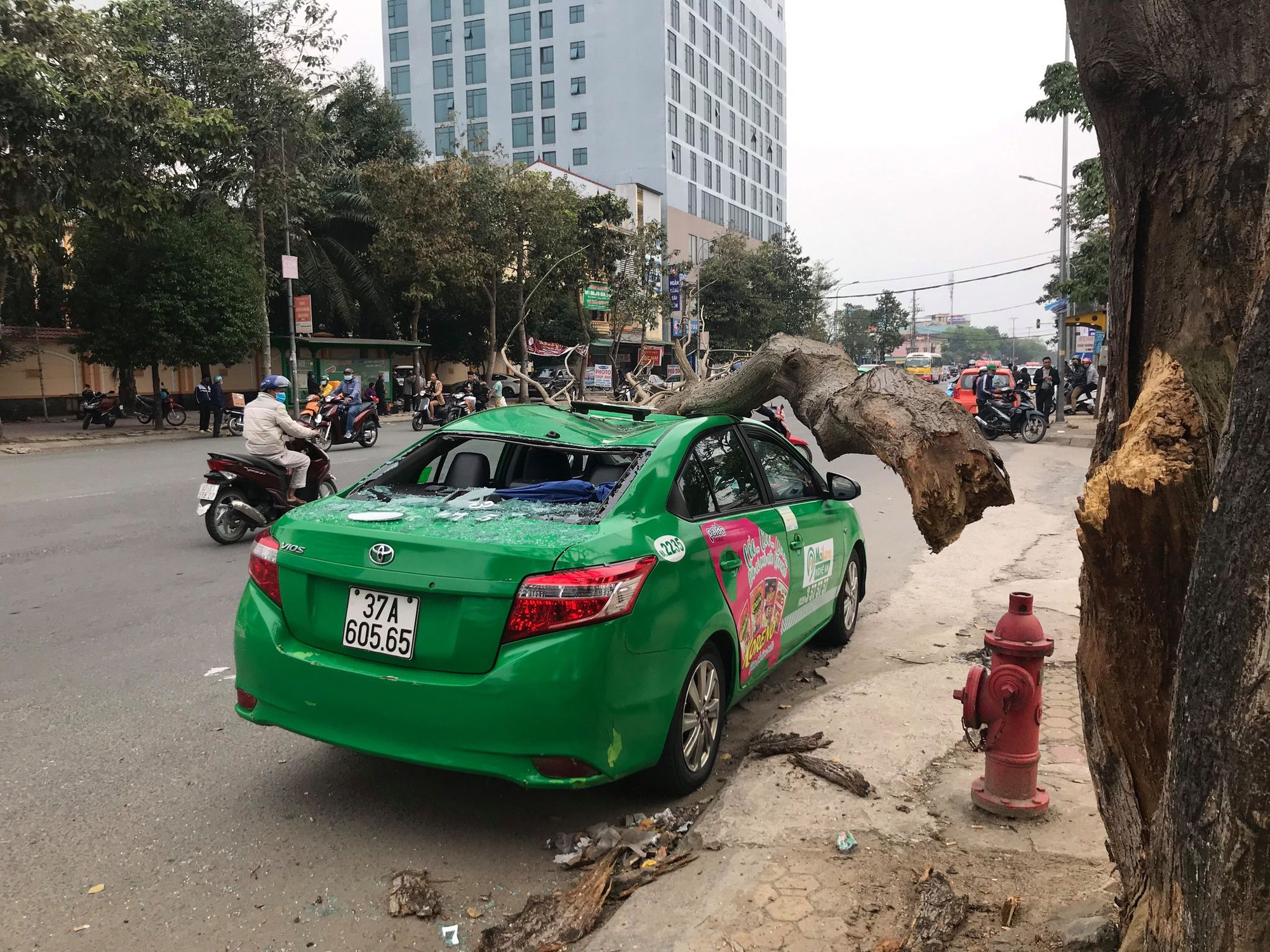 Nam tài xế và khách thoát chết hi hữu khi bị cây xanh gãy đè bẹp xe taxi - Ảnh 3.