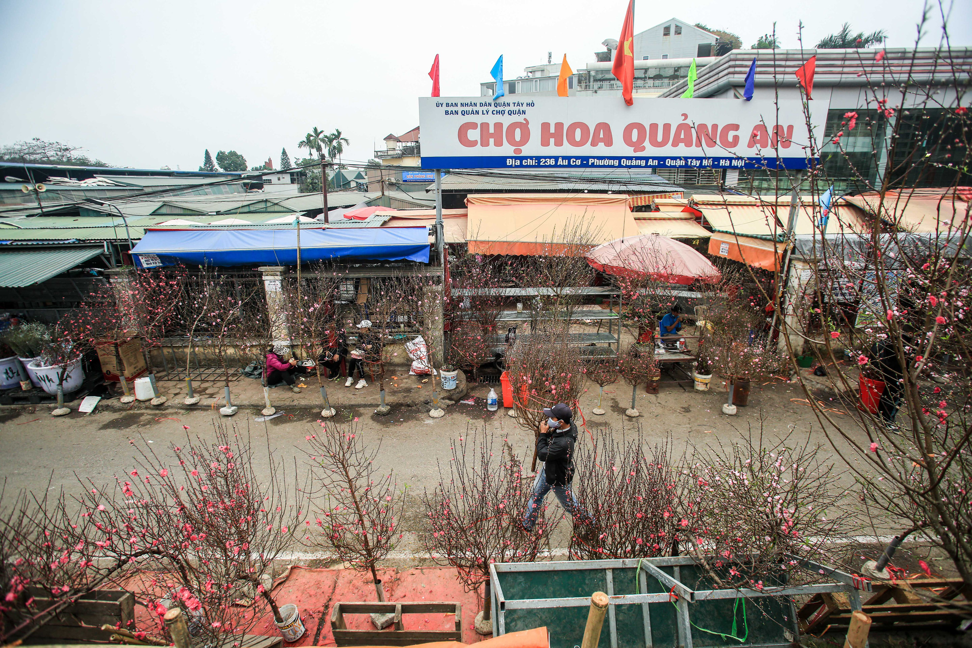 CLIP: Thị trường hoa Tết Tân Sửu 2021 ở Thủ đô đìu hiu vì dịch Covid-19 - Ảnh 12.