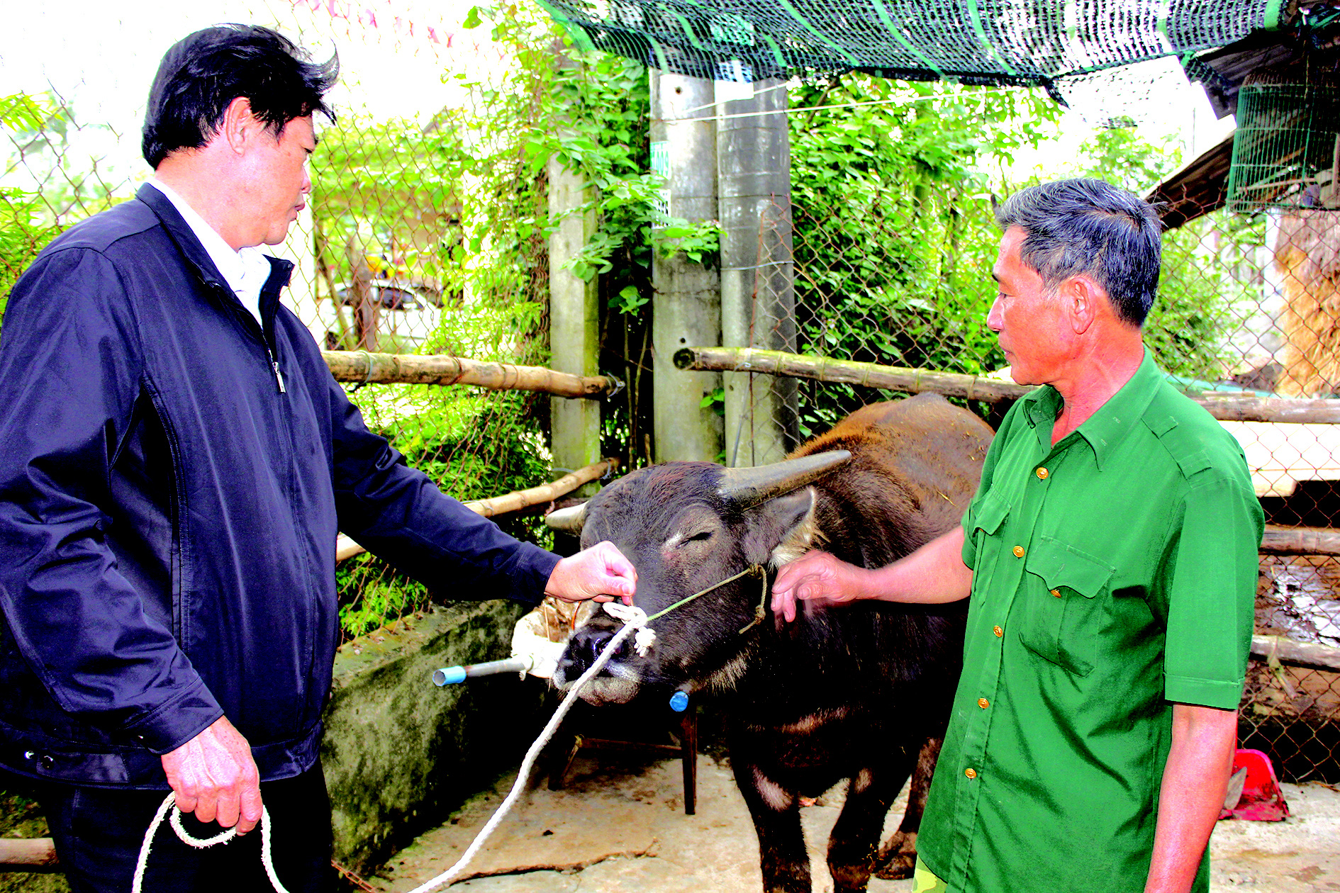40 năm với… “đầu cơ nghiệp”