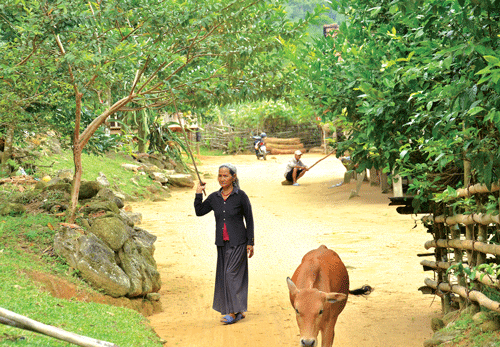 Làng giữa đại ngàn - Ảnh 2.