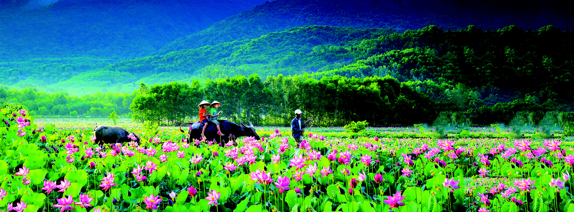 Tết “thời trâu cày” - Ảnh 2.