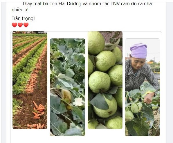 Người Hà Nội hỗ trợ bà con Hải Dương tiêu thụ rau củ