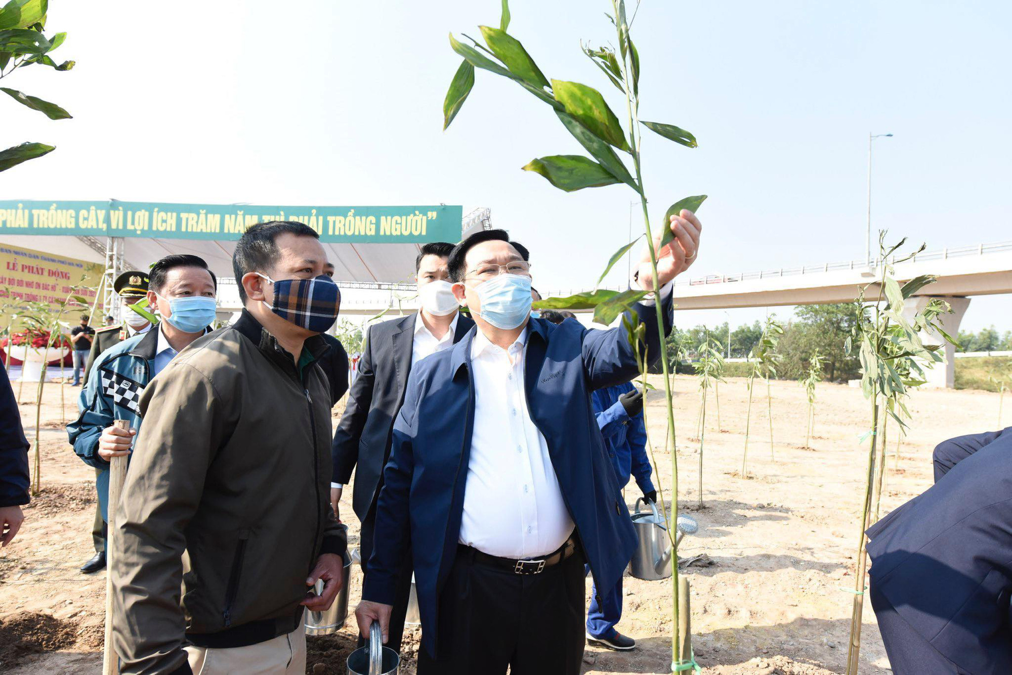 Hà Nội hướng đến mục tiêu trồng 1 tỉ cây xanh