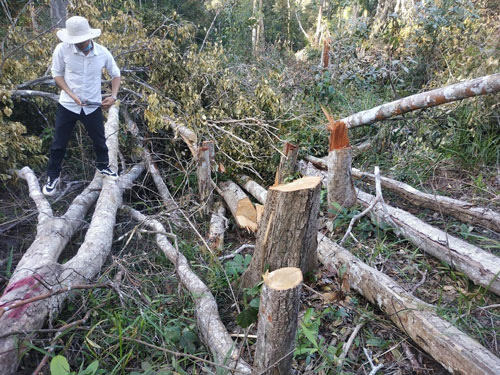 Khuyến khích ứng dụng công nghệ mới vào sản xuất