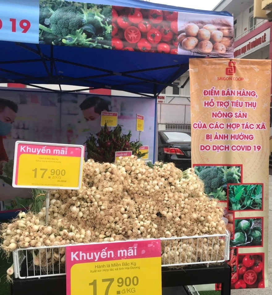 Co.opmart vào cuộc giải cứu nông sản Hải Dương