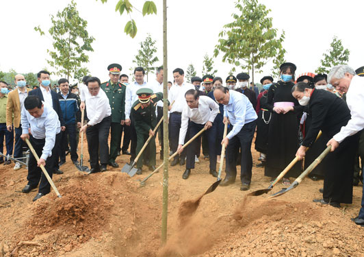 Tiếp tục phát động trồng cây "Vì một Việt Nam xanh"