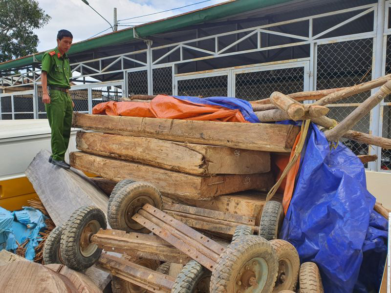 Thẳng tay trị kẻ phá rừng