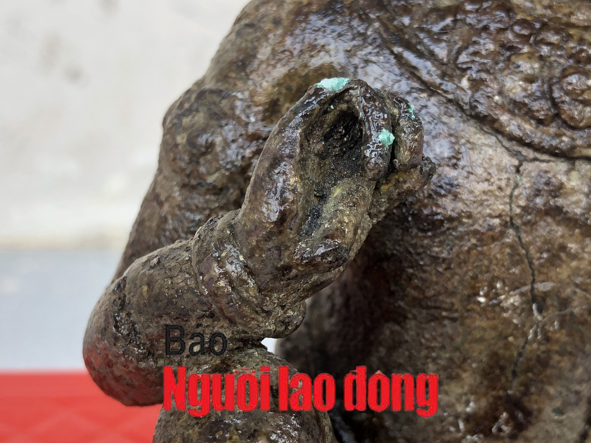 CLIP: Cận cảnh tượng nam thần được công nhận là bảo vật Quốc gia - Ảnh 12.