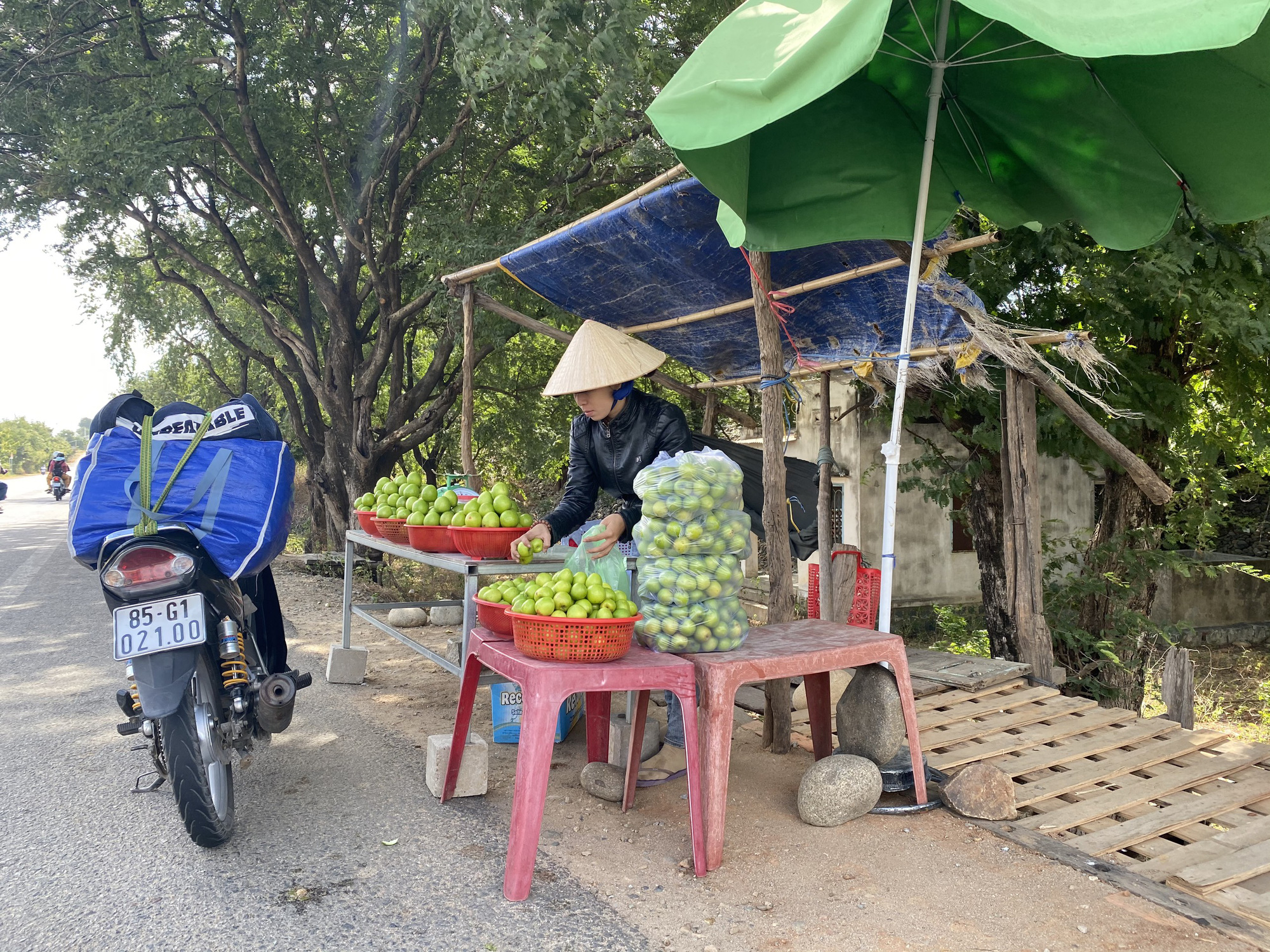 Cuộc thi "Làm báo cùng Báo Người Lao Động": Tìm đâu mùi Tết trên từng chuyến xe?