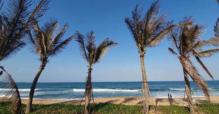 Tháng giêng xanh gọi mời
