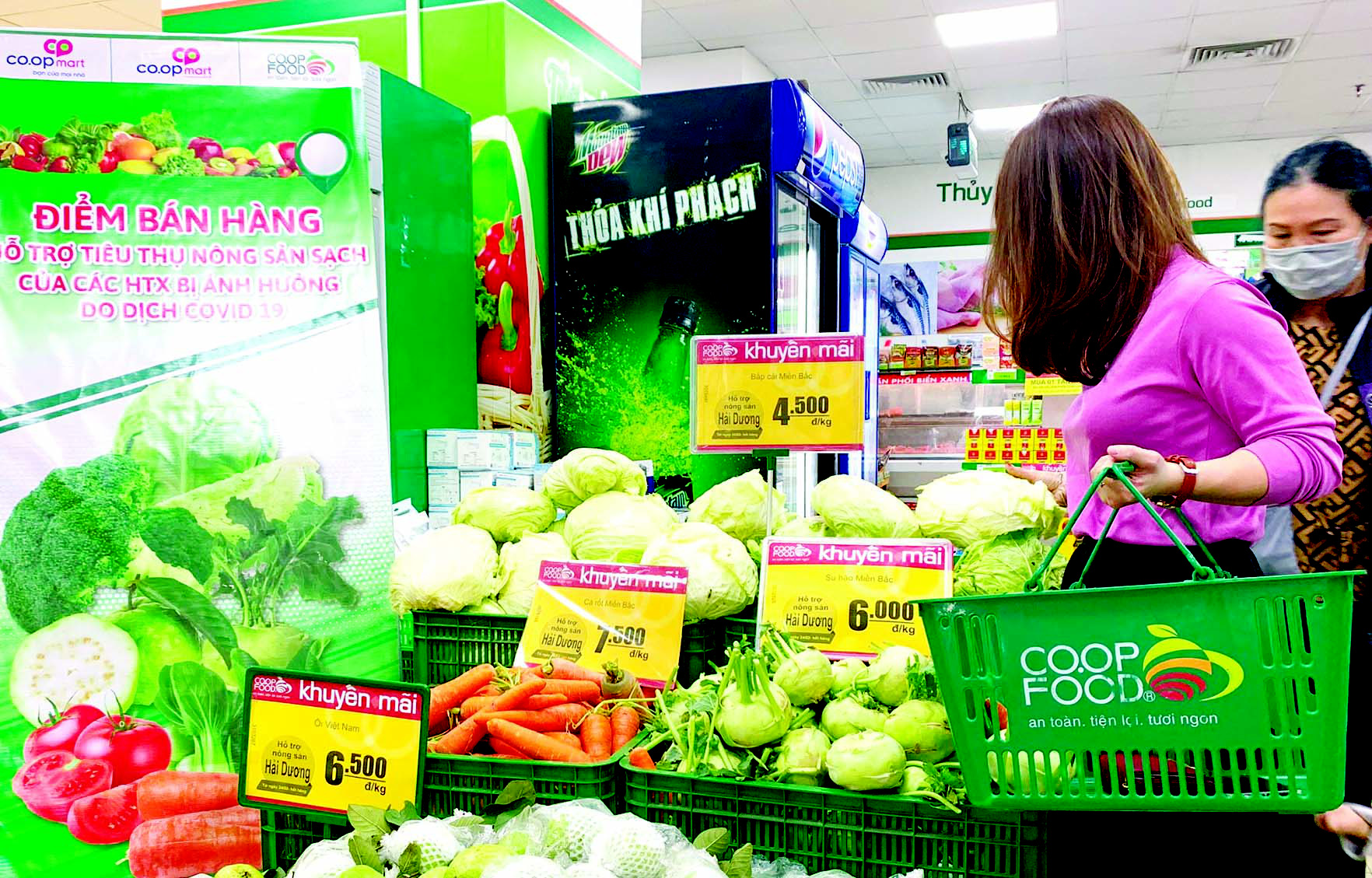 Lên kế hoạch bài bản “giải cứu” nông sản Hải Dương