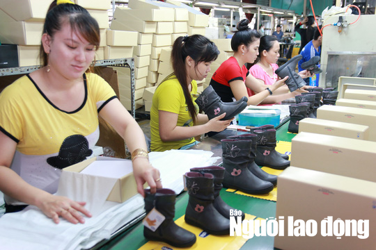 5 nguyên tắc xử lý kỷ luật lao động mà người lao động cần biết