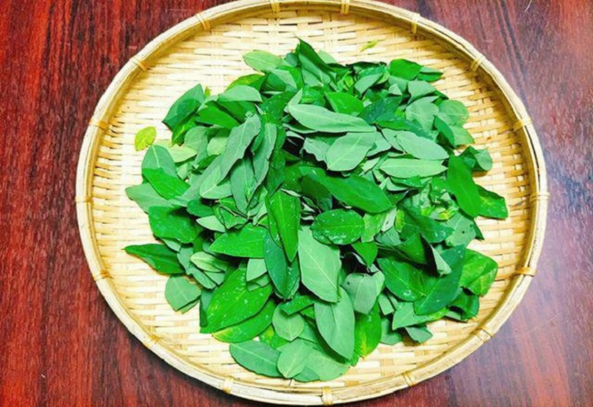 Những người tuyệt đối kh&ocirc;ng n&ecirc;n ăn rau ng&oacute;t - Ảnh 2.