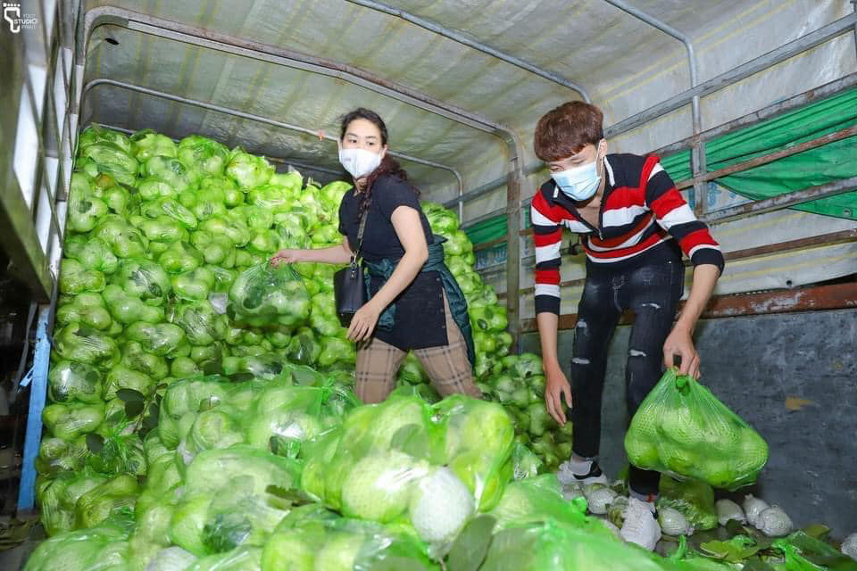 Th&ecirc;m nhiều nghệ sĩ giải cứu n&ocirc;ng sản Hải Dương - Ảnh 3.