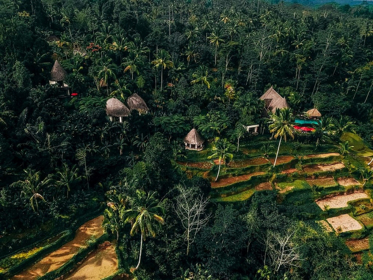 Bali hòn đảo thiên đường - Ảnh 11.