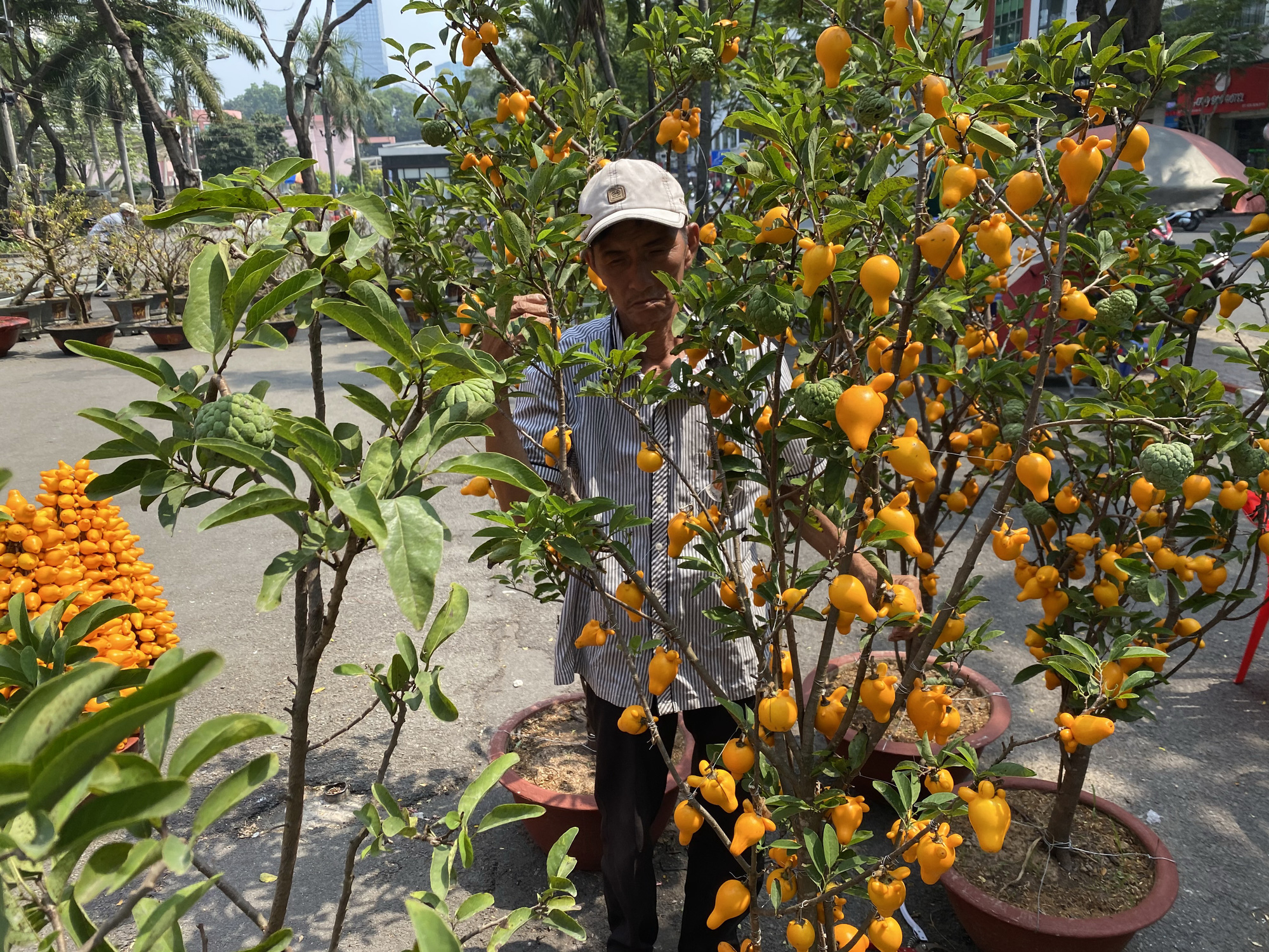 Kiểng trâu thu hút du khách - Ảnh 6.