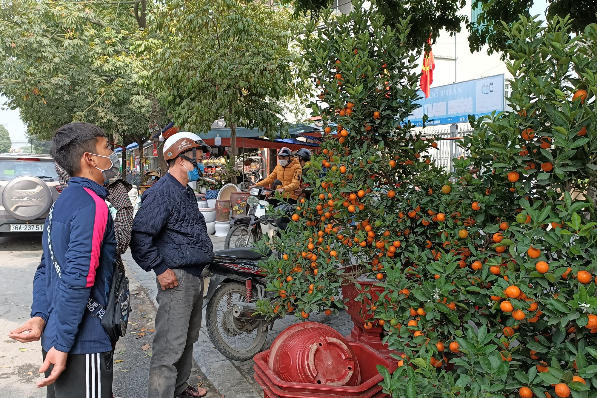 CLIP: Đào, quất thi nhau đại hạ giá, người bán vẫn méo mặt vì người mua thưa thớt - Ảnh 6.