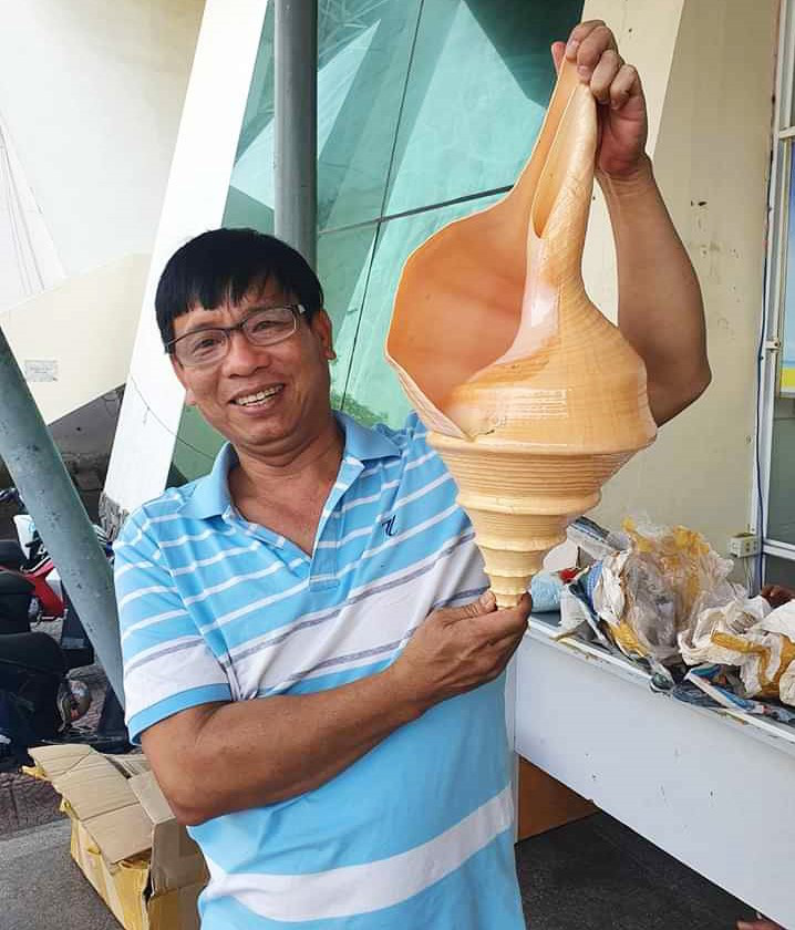 Độc lạ bộ sưu tập vỏ ốc ở Đà Nẵng