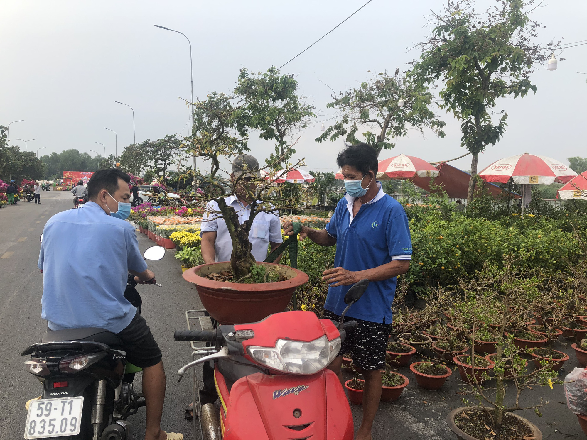 Hoa Tết còn ê hề, Sở Công Thương TP HCM kêu gọi "giải cứu"