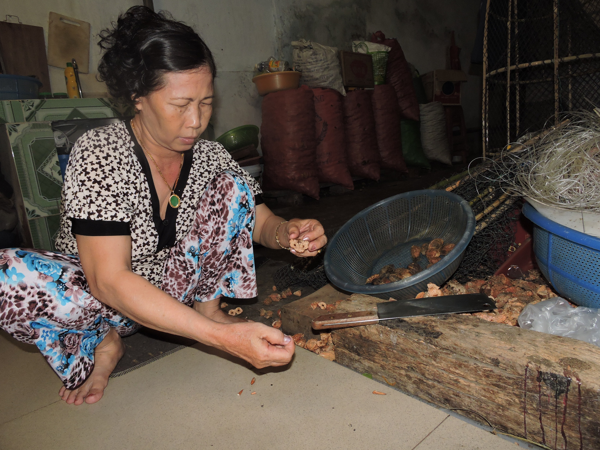 (Bài xuân online) Ngắm vẻ đẹp vượt thời gian của hàng cây di sản ở Côn Đảo - Ảnh 8.