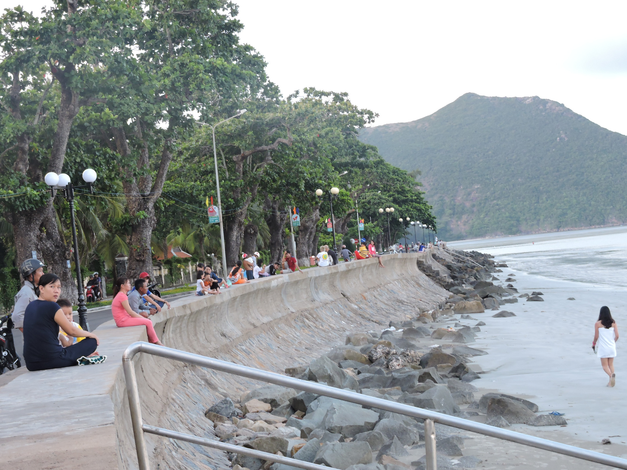 (Bài xuân online) Ngắm vẻ đẹp vượt thời gian của hàng cây di sản ở Côn Đảo - Ảnh 5.