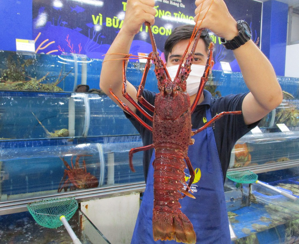 Nhà giàu mạnh tay mua tôm hùm, cua hoàng đế “khủng” ăn Tết