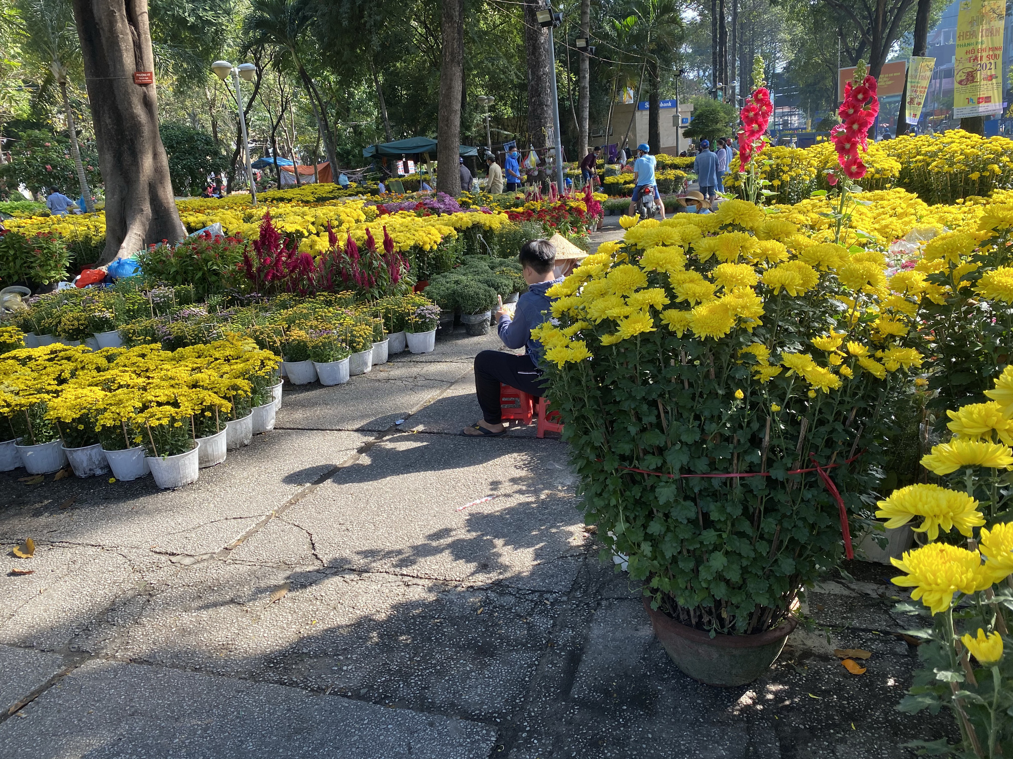 28 Tết, người bán hoa Tết ở TP HCM "muốn khóc" sau trận mưa bất ngờ