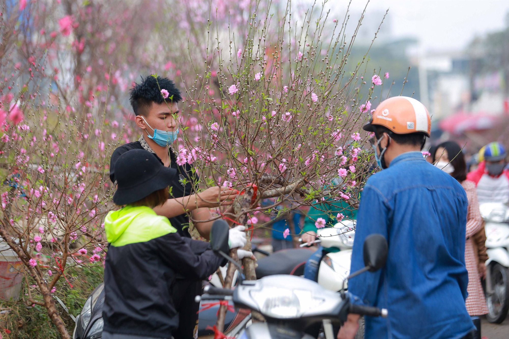 L&agrave;ng đ&agrave;o Nhật T&acirc;n đỏ rực những ng&agrave;y cuối năm - Ảnh 14.