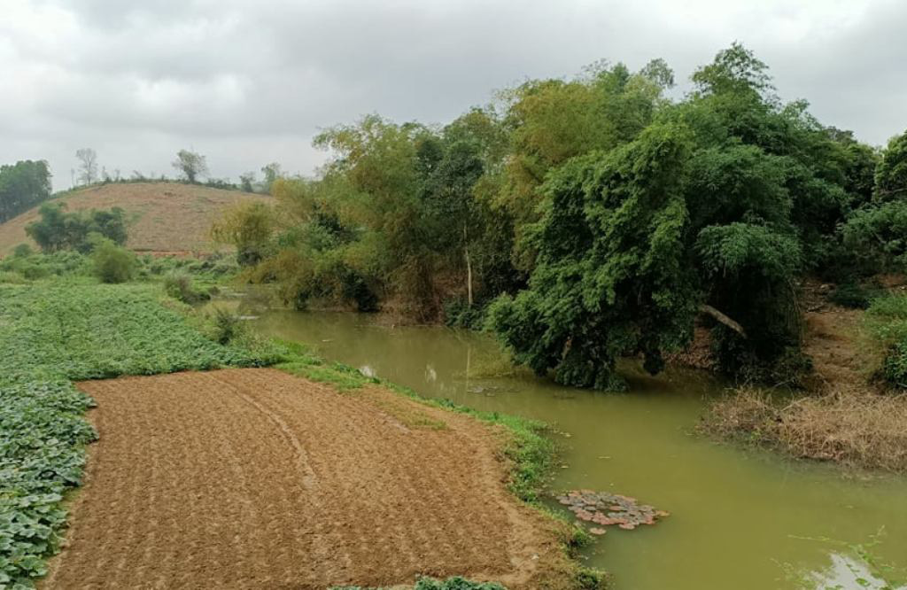 Chủ tịch tỉnh Thanh H&oacute;a y&ecirc;u cầu x&aacute;c minh vụ việc sau phản &aacute;nh của B&aacute;o Người Lao Động - Ảnh 5.