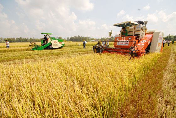 Động lực phát triển bền vững ĐBSCL - Ảnh 2.