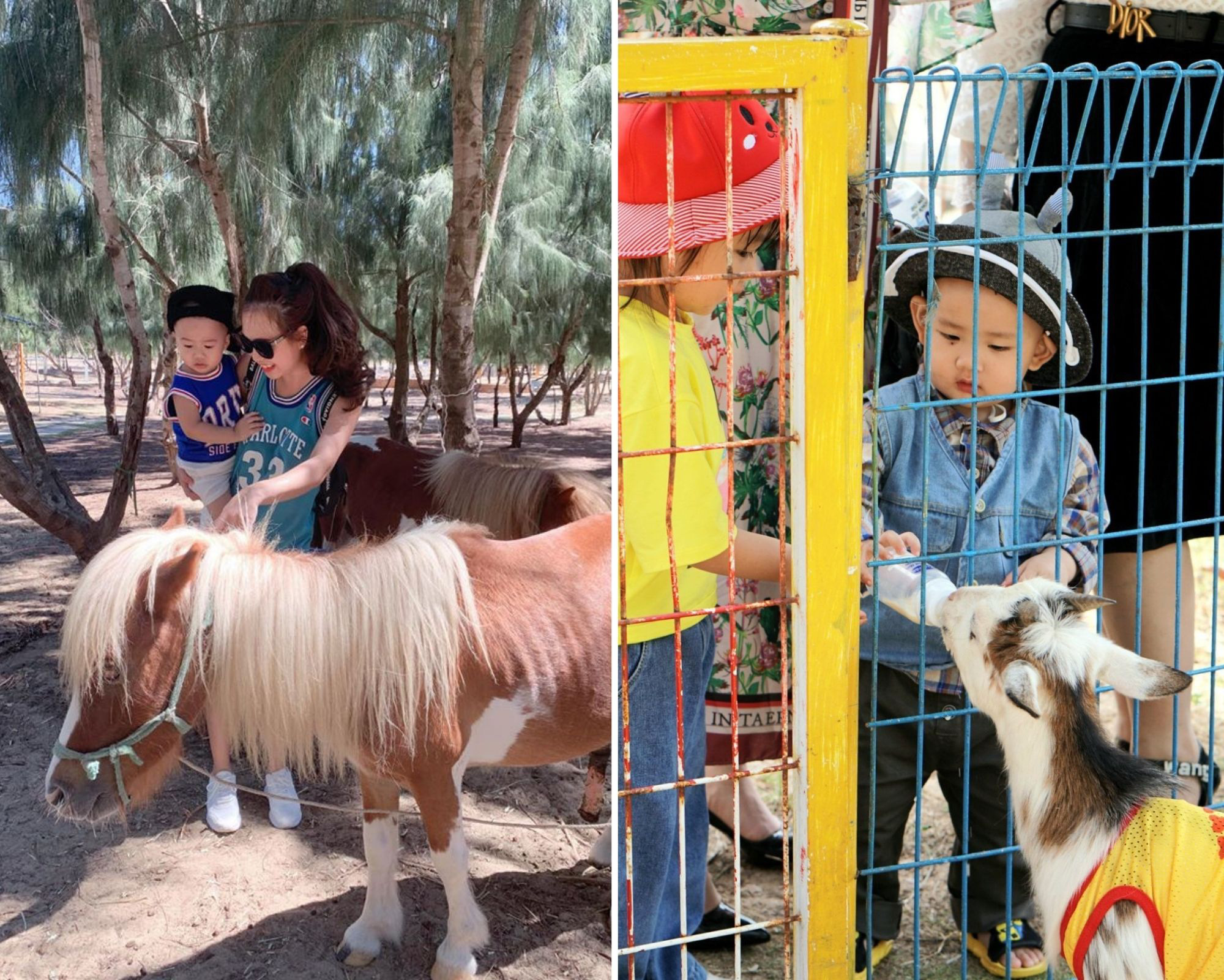 Đến FLC Zoo Safari Park Quy Nhon ngắm ch&uacute; hổ sơ sinh Bengal cực đ&aacute;ng y&ecirc;u - Ảnh 10.