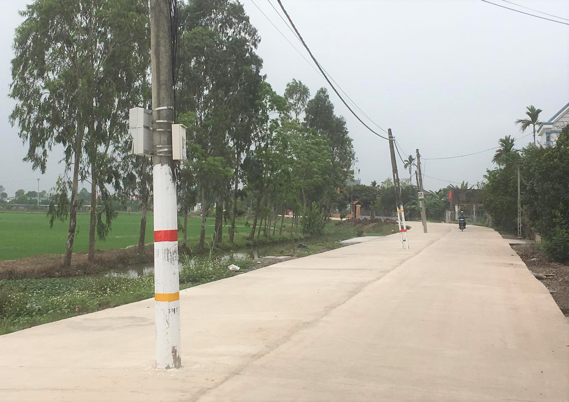 40 c&acirc;y cột điện bỗng mọc giữa đường giăng bẫy người qua lại - Ảnh 4.