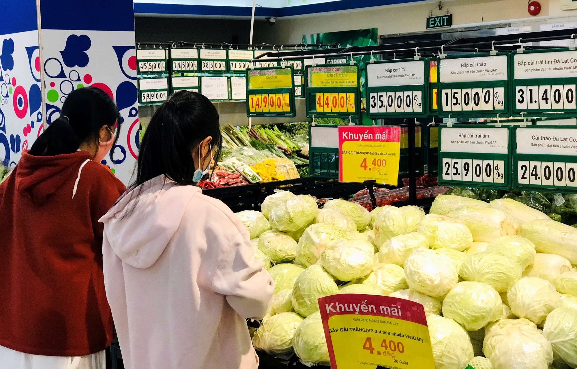 Bắp cải Đà Lạt rẻ chưa từng có, Co.opmart bán hết gần 16 tấn trong 1 ngày - Ảnh 1.