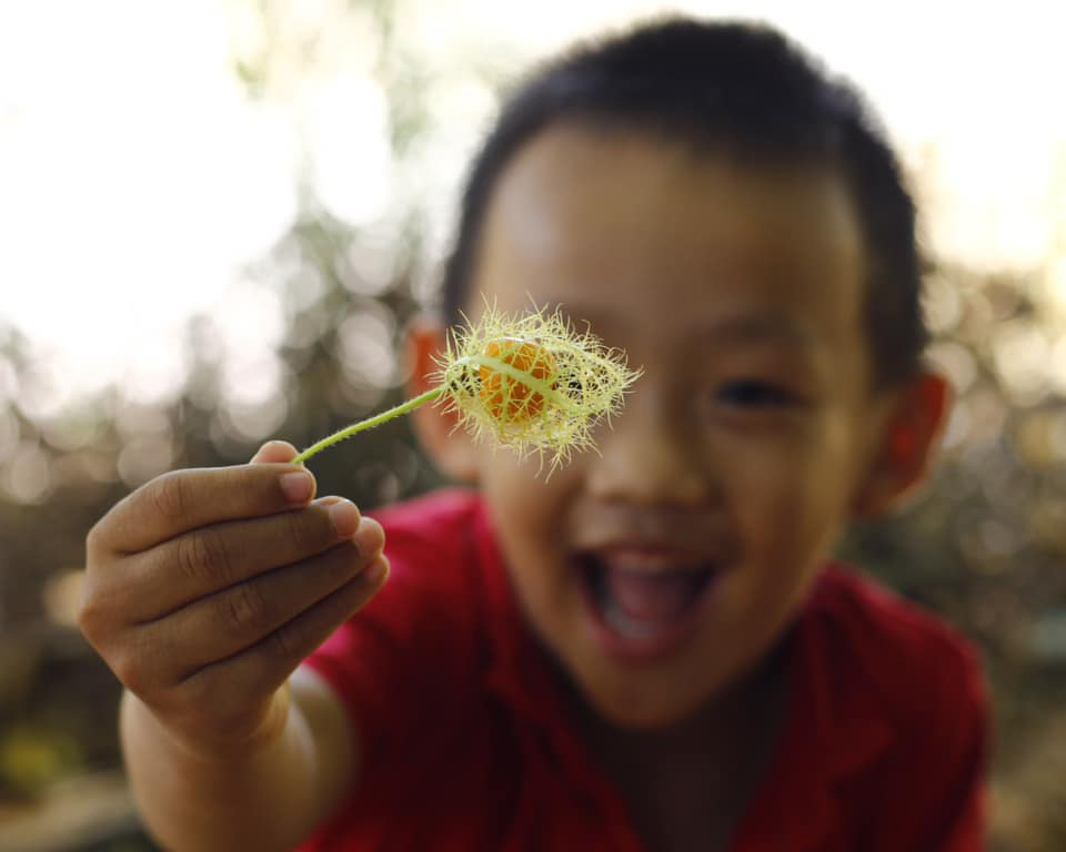 Những h&igrave;nh ảnh b&igrave;nh y&ecirc;n, tuyệt đẹp ở v&ugrave;ng bi&ecirc;n giới T&acirc;y Nam đầy nắng - Ảnh 10.