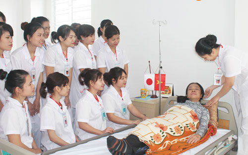 Sang Nhật làm kaigo: Hấp dẫn!