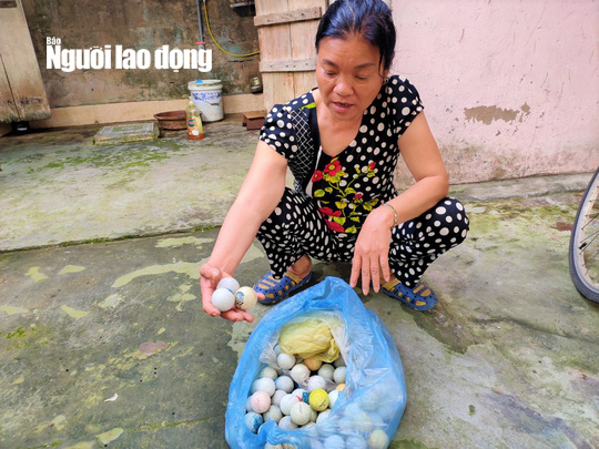 B&oacute;ng golf oanh tạc l&agrave;m bể m&aacute;i t&ocirc;n, cửa k&iacute;nh v&agrave; uy hiếp người d&acirc;n ở Quảng B&igrave;nh - Ảnh 2.