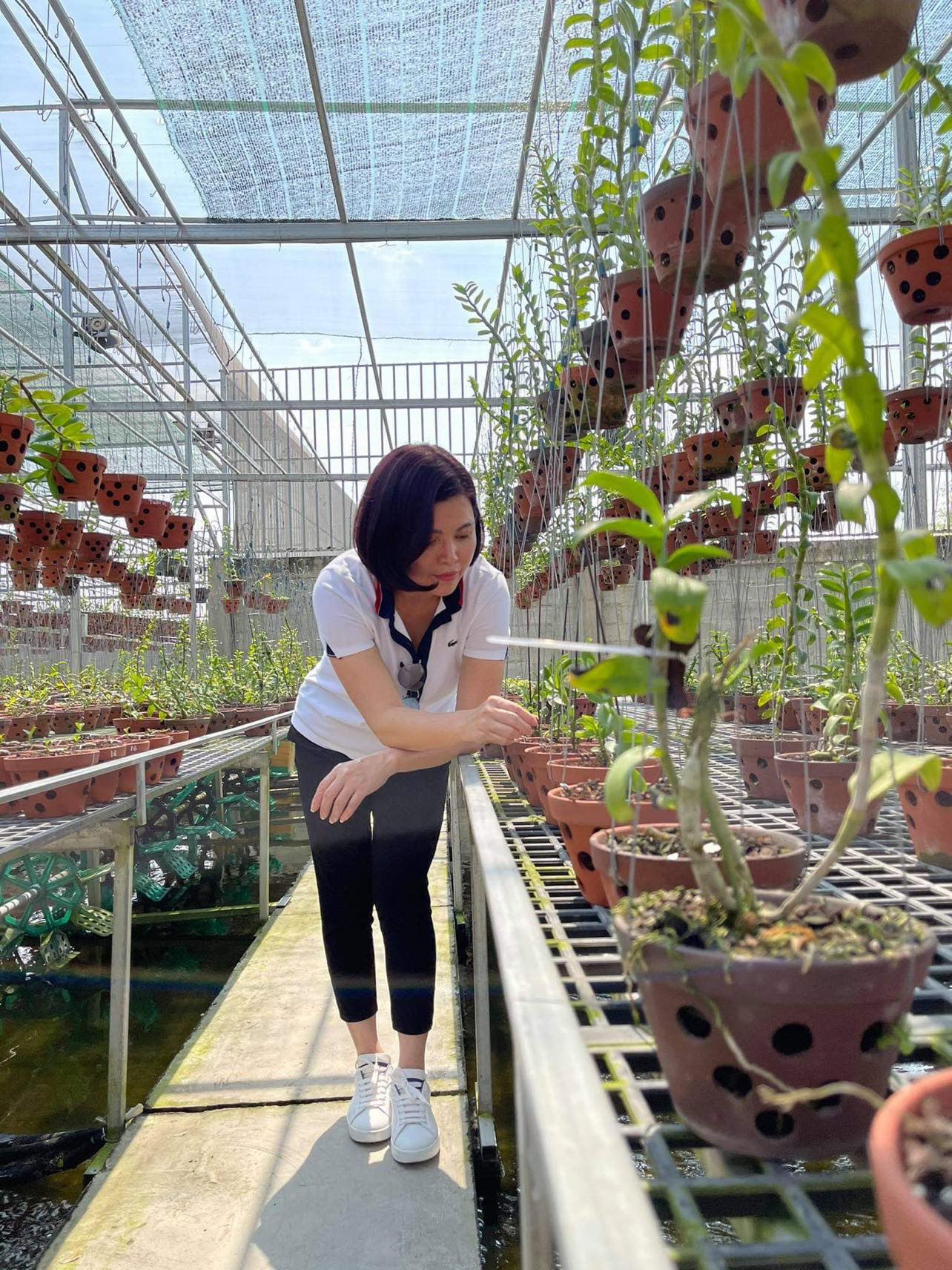Nghệ nh&acirc;n Thủy Royal: Đến với hoa lan từ những trải nghiệm tr&ecirc;n thương trường - Ảnh 1.