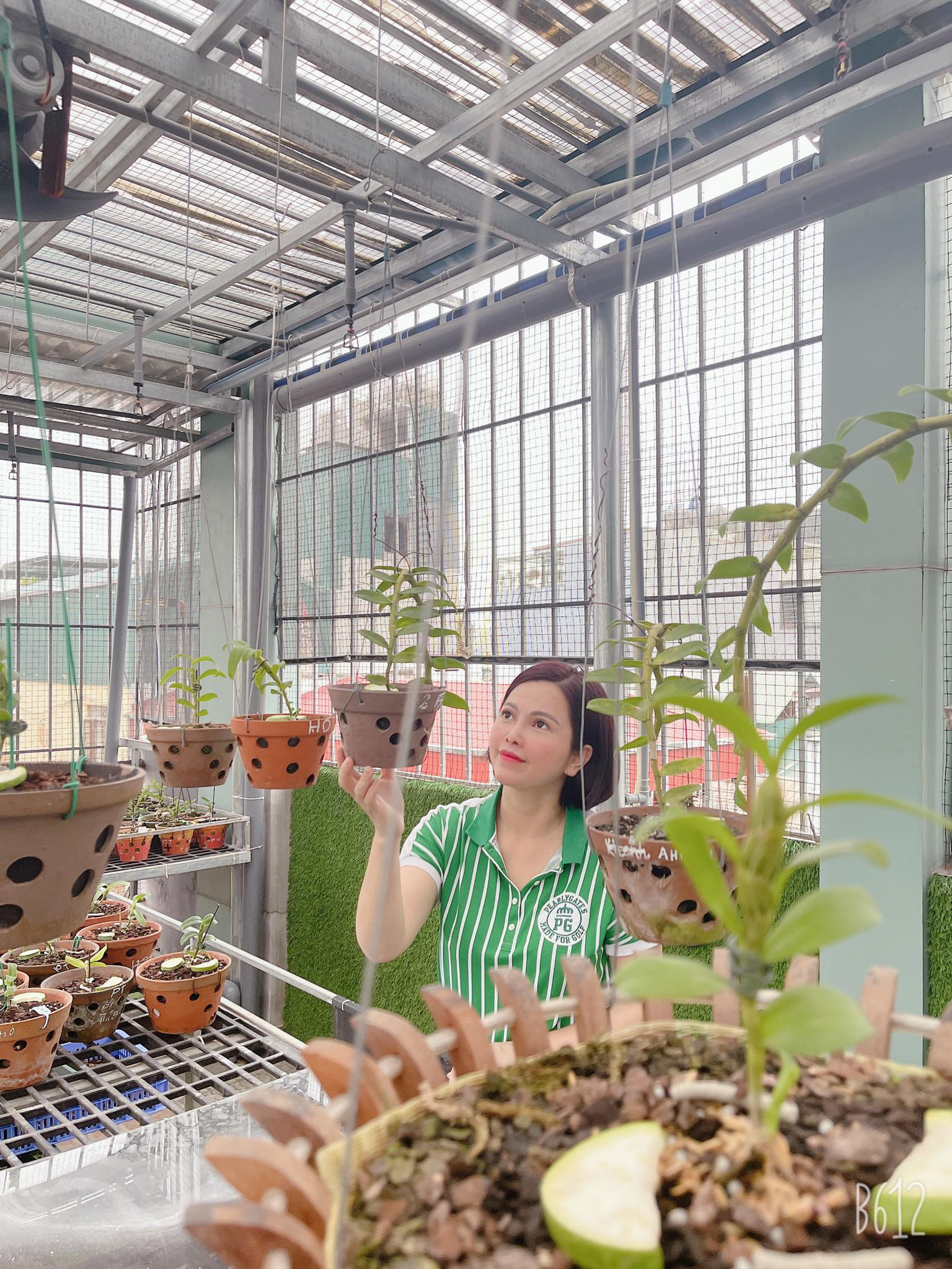 Nghệ nh&acirc;n Thủy Royal: Đến với hoa lan từ những trải nghiệm tr&ecirc;n thương trường - Ảnh 4.