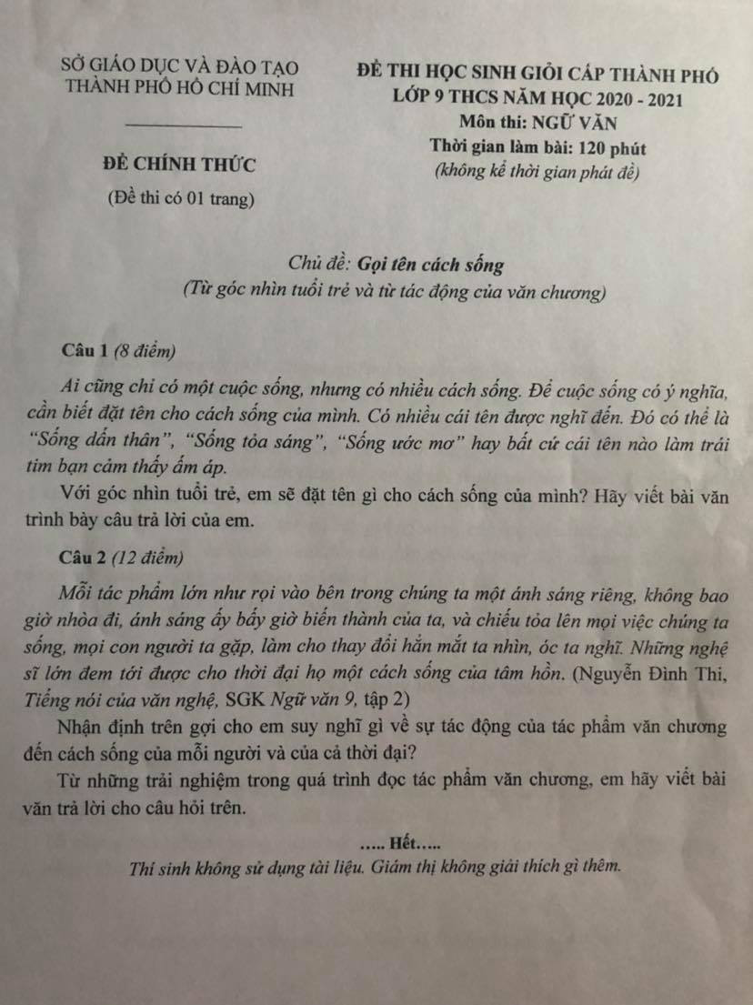 Th&uacute; vị đề thi văn học sinh giỏi ở TP HCM b&agrave;n về tuổi trẻ ch&ocirc;ng ch&ecirc;nh - Ảnh 1.