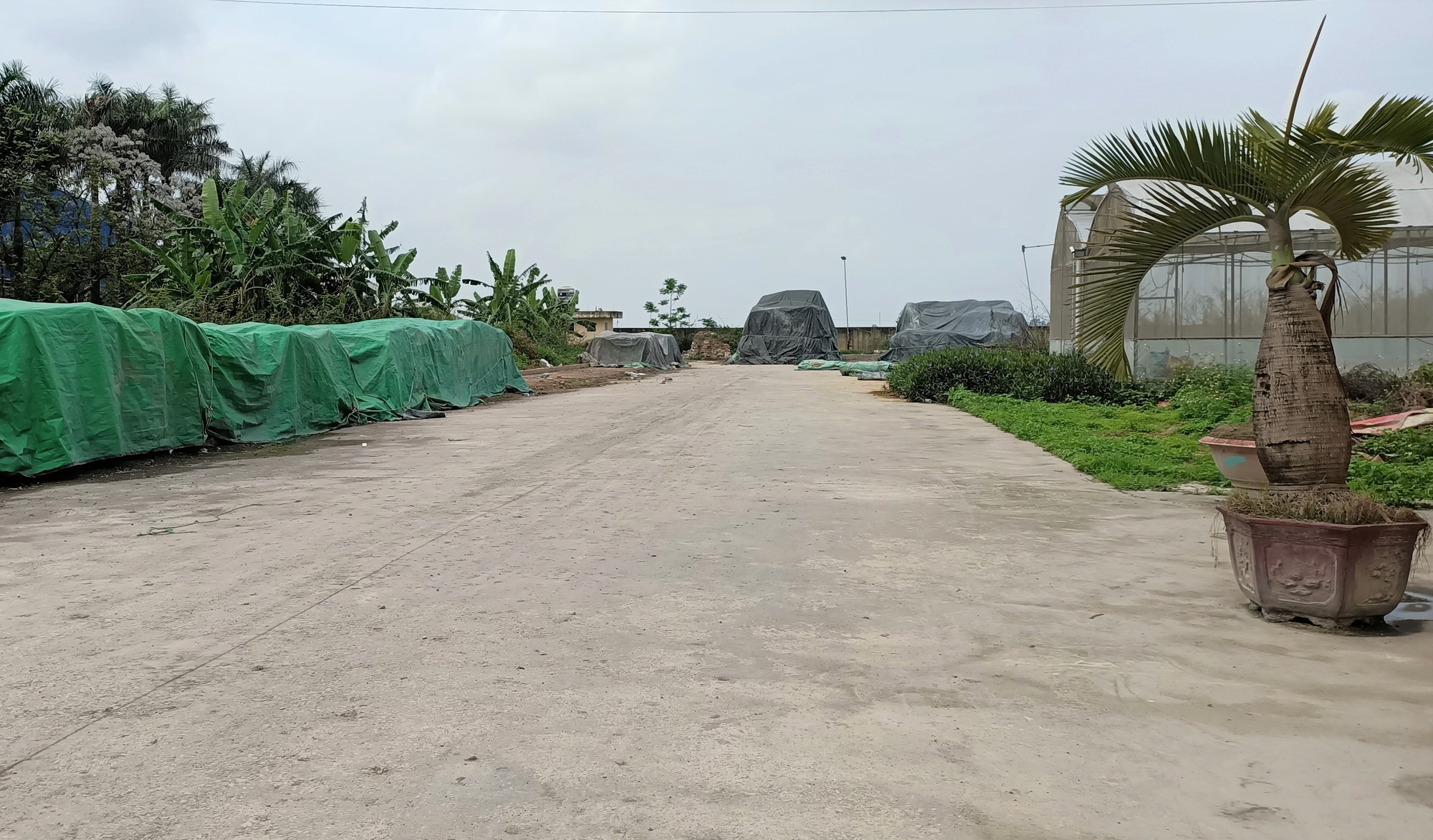 Trung tâm nông nghiệp 17 tỉ đồng ở Thanh Hóa xây xong để làm... cảnh - Ảnh 10.