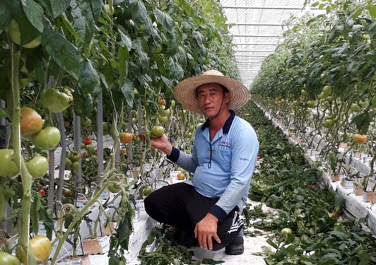 Thông tin quan trọng dành cho lao động Việt Nam tại Hàn Quốc