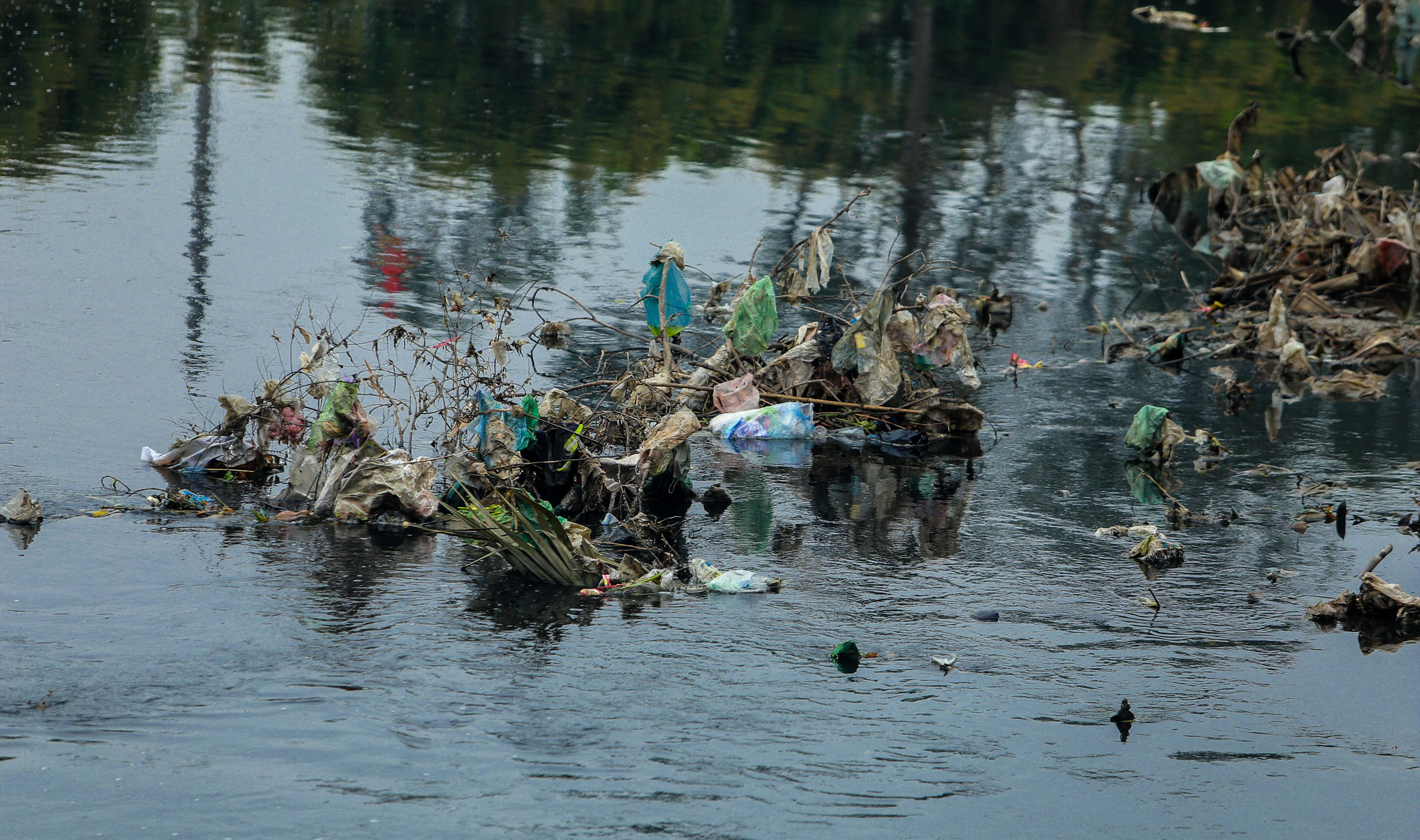 CLIP: Hàng trăm hộ dân “kêu cứu” vì kênh thuỷ lợi bị ô nhiễm nặng - Ảnh 11.