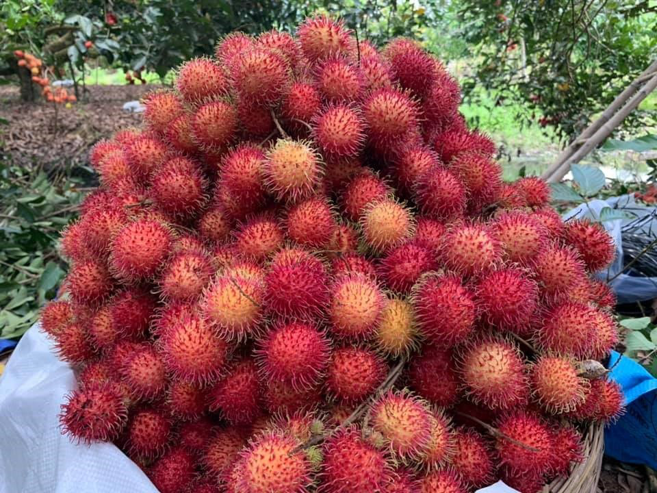 Dẫn người phụ nữ bạn y&ecirc;u thương đến đ&acirc;y để c&oacute; một ng&agrave;y 8-3 &yacute; nghĩa - Ảnh 2.