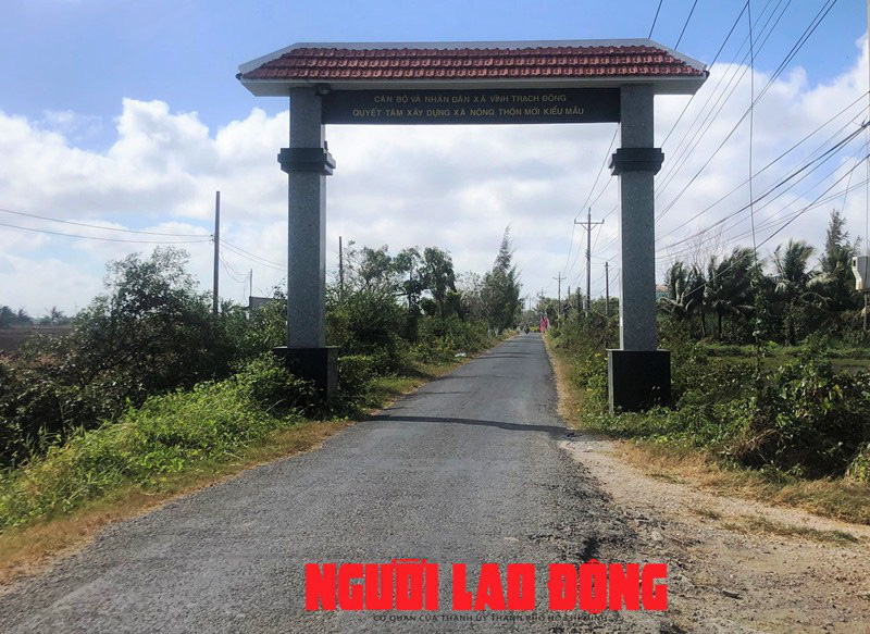 CLIP: Ngỡ ngàng những cánh đồng hoa thì là tuyệt đẹp ở Bạc Liêu - Ảnh 2.