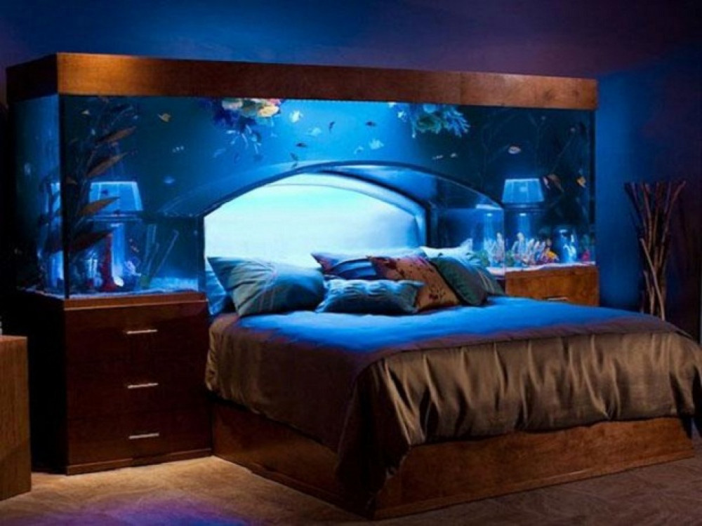 Mang cả đại dương vào nhà - Ảnh 11.