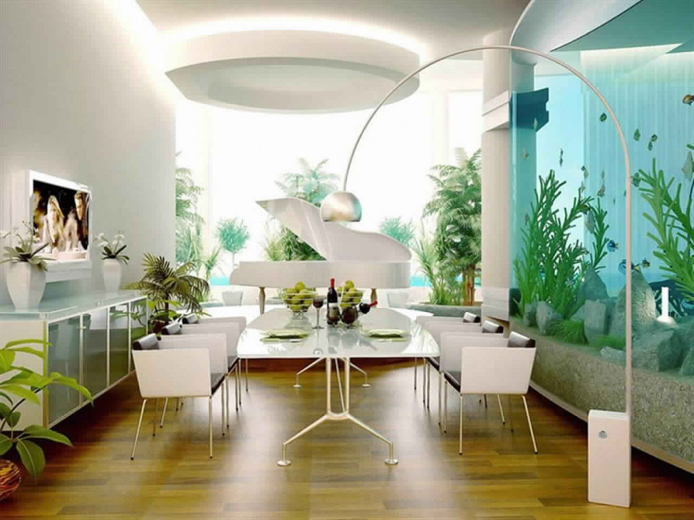 Mang cả đại dương vào nhà - Ảnh 6.