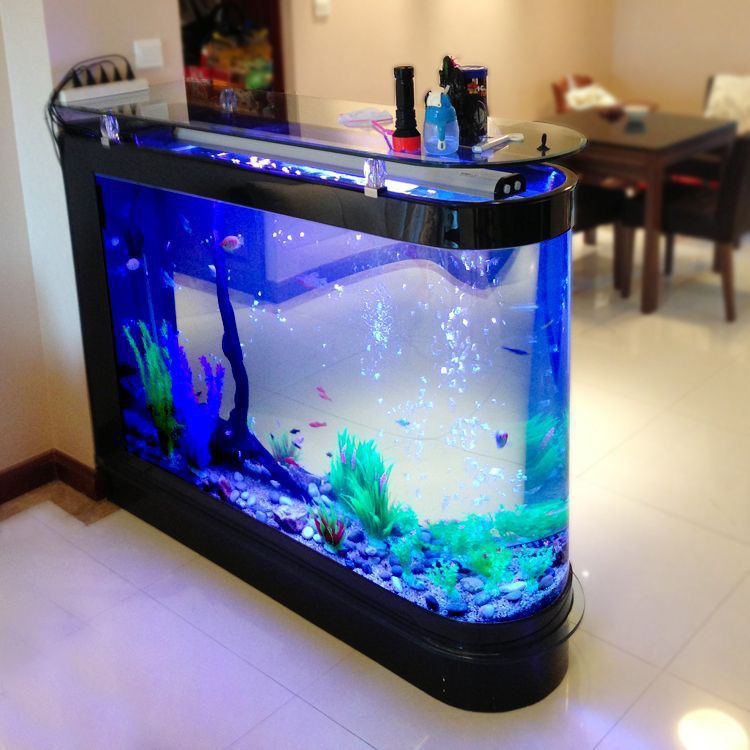 Mang cả đại dương vào nhà - Ảnh 4.