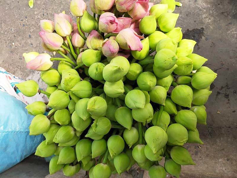 Sen quan &acirc;m đi m&aacute;y bay ra H&agrave; Nội, đổ mối vạn b&ocirc;ng vẫn kh&ocirc;ng đủ b&aacute;n - Ảnh 1.